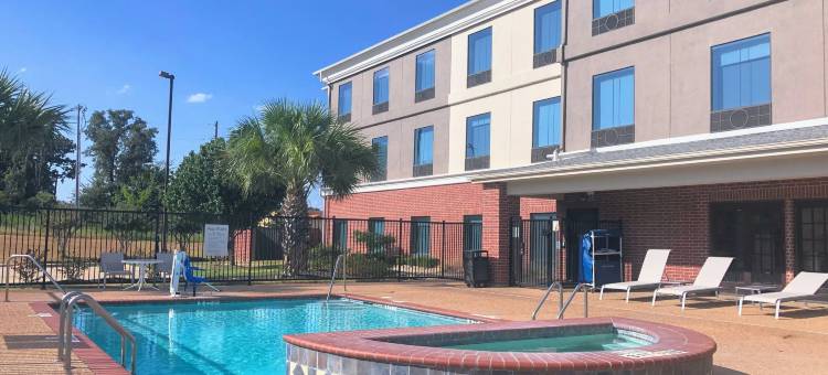 智选假日套房酒店赫恩(Holiday Inn Express & Suites Hearne)图片