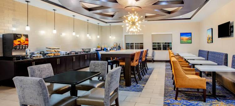 麦金尼拉昆塔温德姆套房酒店(La Quinta Inn & Suites by Wyndham McKinney)图片