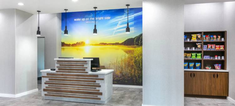 杰克森维尔拉昆塔温德姆套房酒店(La Quinta Inn & Suites by Wyndham Jacksonville TX)图片