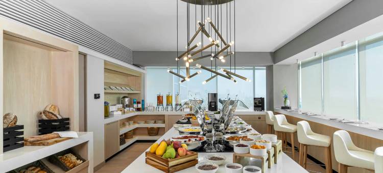 墨西哥城 Insurgentes 凯悦酒店(Hyatt Regency Mexico City Insurgentes)图片