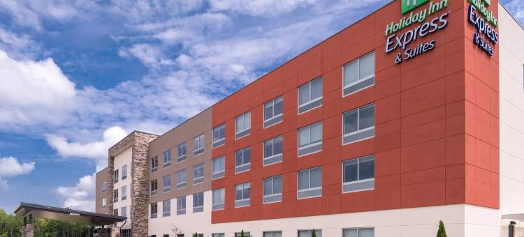 法姆维尔智选假日套房酒店(Holiday Inn Express & Suites Farmville)图片