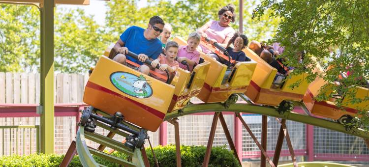 夏洛特卡罗温兹万豪SpringHill Suites酒店(SpringHill Suites Charlotte at Carowinds)图片