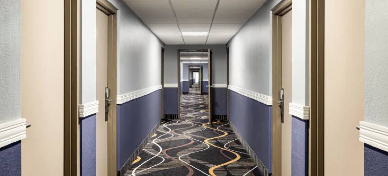 威斯康星麦迪逊美吟温德姆酒店(AmericInn by Wyndham Madison WI)图片