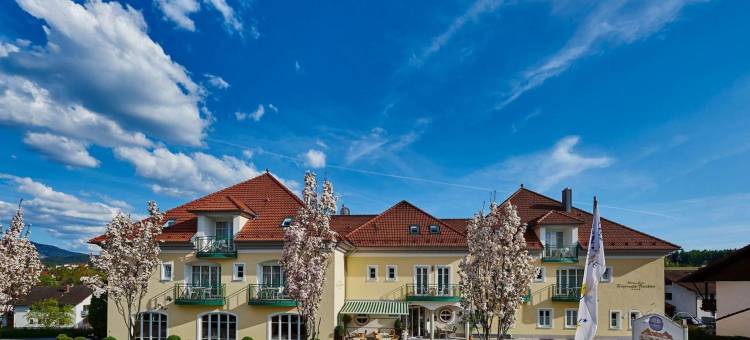 巴耶瓦德住宅阿肯森特酒店(AKZENT Hotel Bayerwald-Residenz)图片