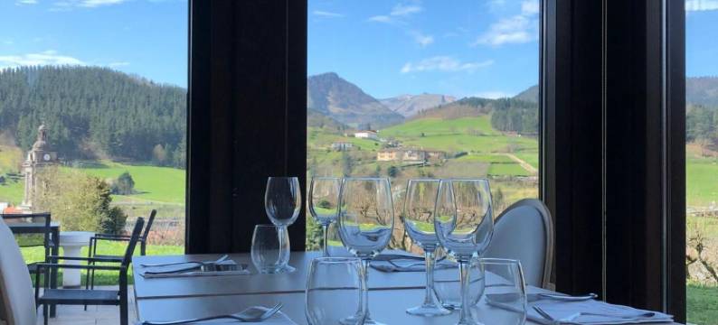 托雷祖迈泰利酒店(Hotel Torre Zumeltzegi)图片