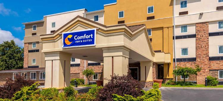 康福特酒店及套房密歇根城南部(Comfort Inn & Suites Michigan City South)图片