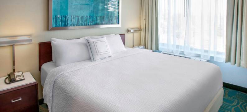 费城威洛格罗夫万豪SpringHill酒店(WILLOW GROVE INN by IHG)图片