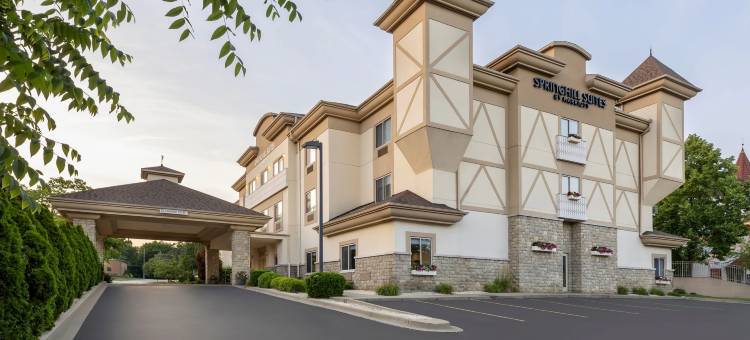 弗兰肯默斯万豪SpringHill Suites 酒店(SpringHill Suites Frankenmuth)图片