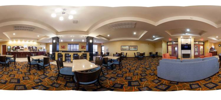 智选假日套房酒店拉斐特西(Holiday Inn Express & Suites Lafayette East)图片