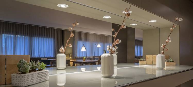 比萨万豪AC酒店(AC Hotel Pisa)图片