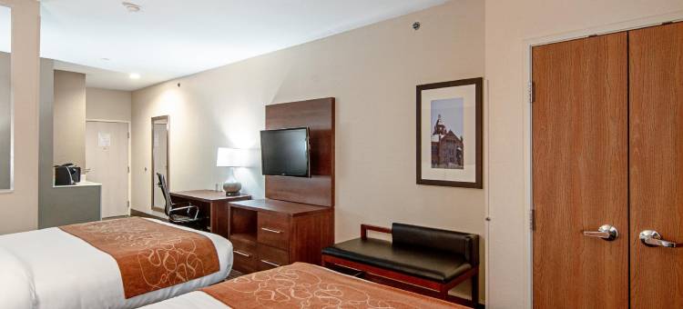 西北达拉斯爱田附近舒适全套房酒店(Comfort Suites NW Dallas Near Love Field)图片
