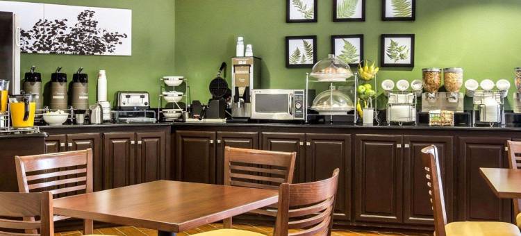 克拉丽奥波因特阿尔贝马尔(Clarion Pointe Albemarle)图片