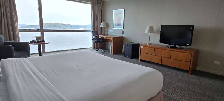 蒙特港诺富特酒店(Novotel Puerto Montt)图片