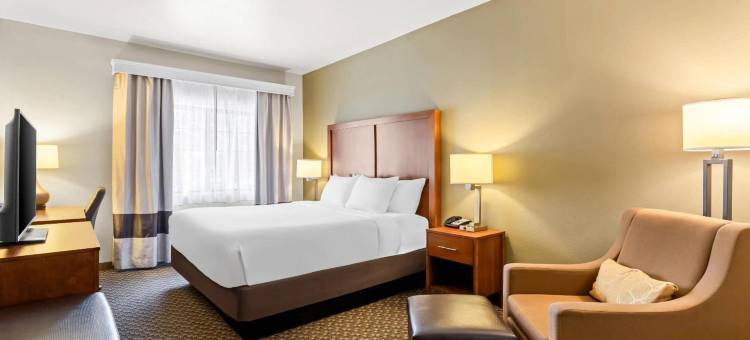 城中舒适套房酒店(Comfort Inn & Suites Midtown)图片