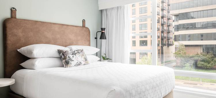 圣路易斯中央西区英迪格酒店(Hotel Indigo ST Louis - Central West End by IHG)图片