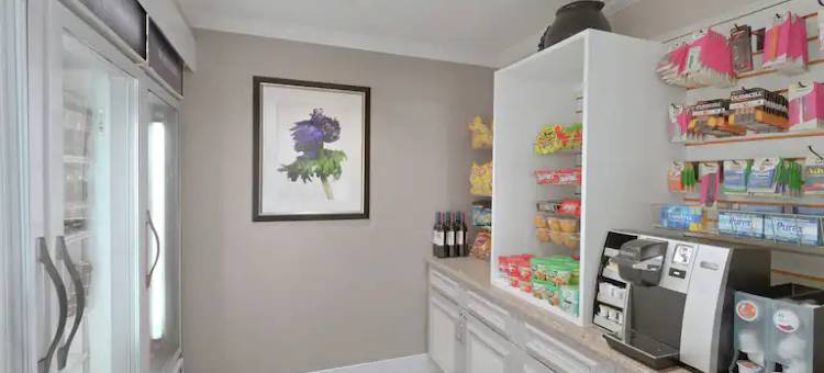 斯普林菲尔德希尔顿花园旅馆(Hilton Garden Inn Springfield, MA)图片