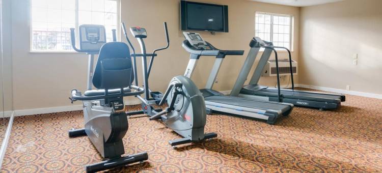 法伊夫汽车旅馆(GuestHouse Fife)图片