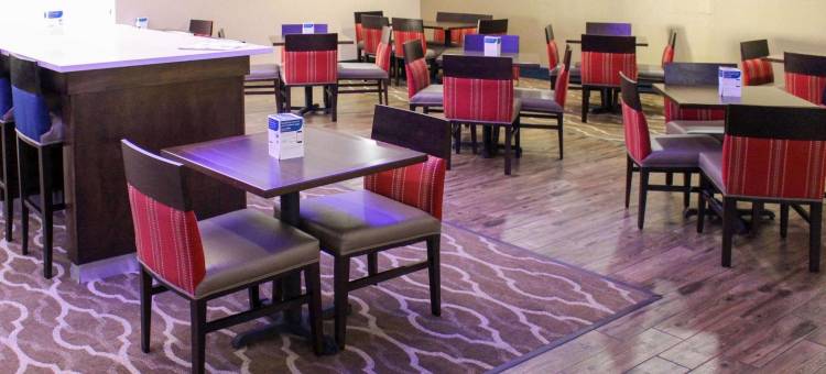 靠近六旗及医疗中心舒适酒店及套房(Comfort Inn & Suites Near Six Flags & Medical Center)图片