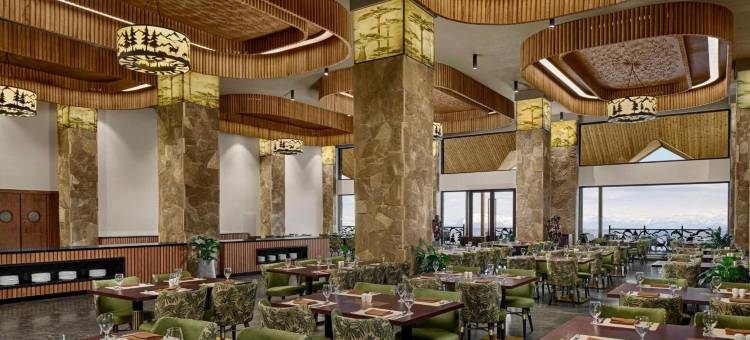 Radisson Blu Resort And Spa Korek Mountain图片