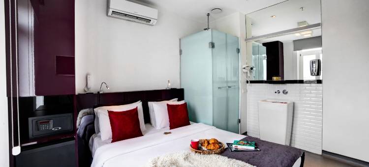 伊斯坦布尔塔克西姆The Central House酒店(The Central House Istanbul Taksim)图片