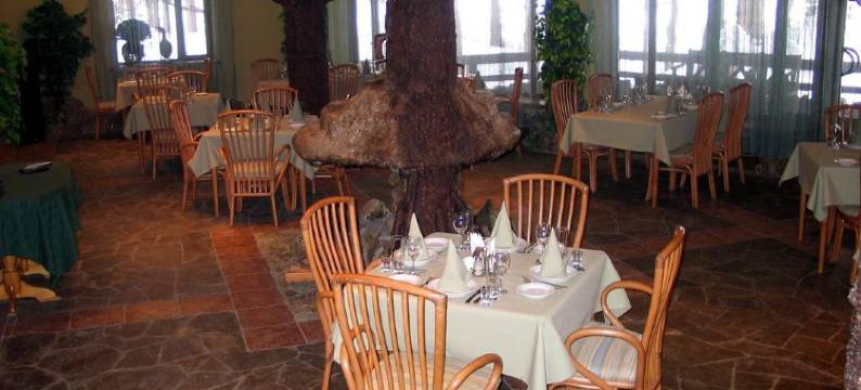 提瑞斯酒店(Tirs Hotel)图片