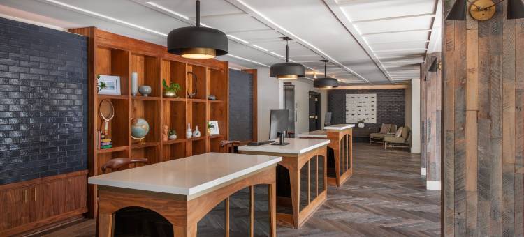 圣莫尼卡 FOUND 酒店，万豪酒店集团旗下系列(FOUND Hotel, Santa Monica, Series by Marriott)图片