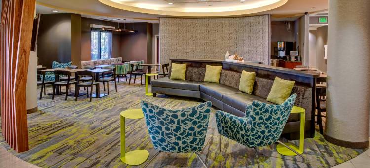 那不勒斯万豪SpringHill酒店(SpringHill Suites Naples)图片