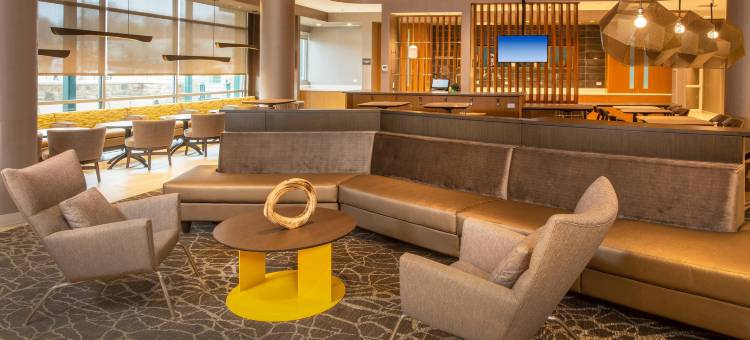 菲德里克万豪SpringHill Suites酒店(SpringHill Suites Frederick)图片