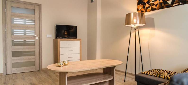 Apartament Deluxe Centrum 2图片