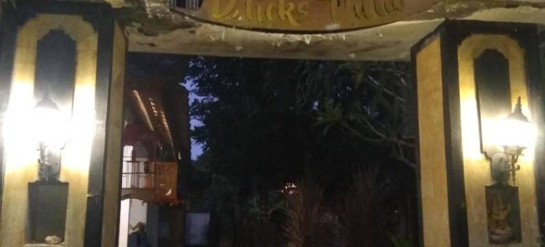 德利克斯别墅-蓝梦岛(D'Licks Villa Lembongan)图片