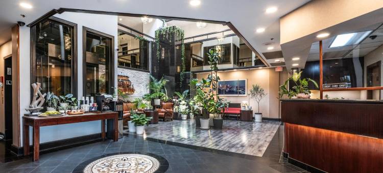 国际酒店(Hotel International)图片