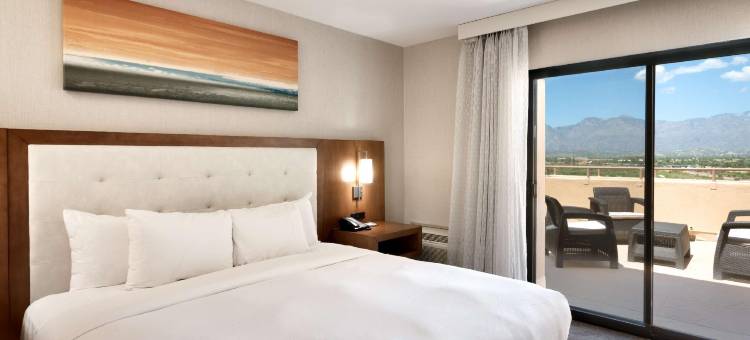 图森东希尔顿酒店(Hilton Tucson East)图片