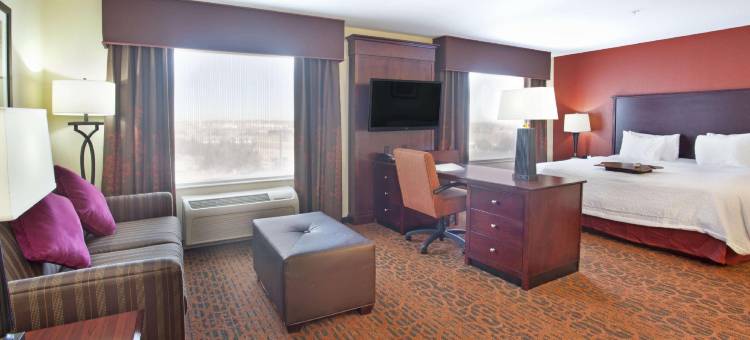 希尔顿欢朋套房酒店-西沃斯堡I 30(Hampton Inn & Suites Fort Worth-West-I-30)图片