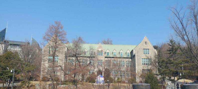 首尔梨大格兰德青年旅舍(Seoul Grand Hostel Ewha Univ)图片