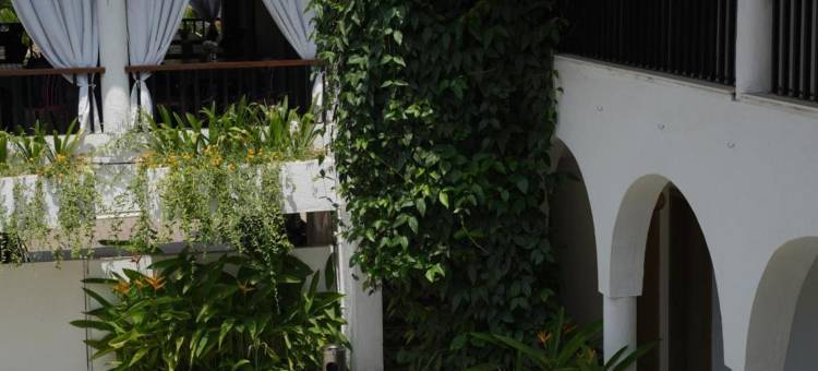 三角梅旅馆(Bougainvillea)图片