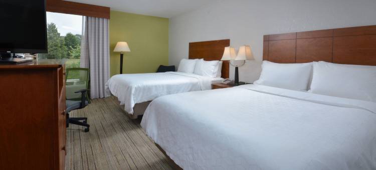 Holiday Inn Express 林奇(Holiday Inn Express Lynchburg)图片