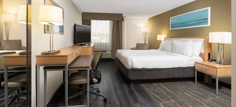 洲际酒店集团假日酒店 格林维尔(Holiday Inn Greenville)图片