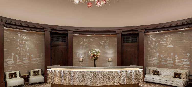 开罗圣瑞吉酒店(The St. Regis Cairo)图片