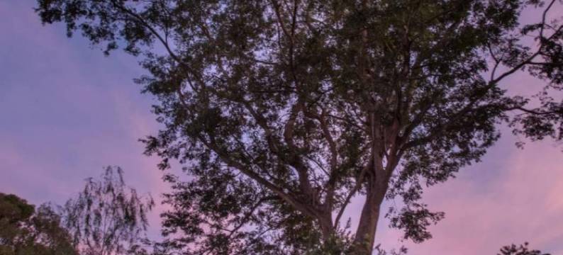 芭芭琳酒店(Babaline Hotel)图片