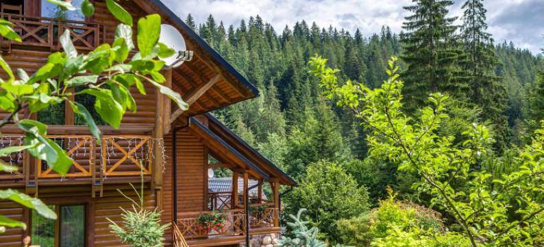 卡帕斯卡别墅(Karpatska Villa)图片