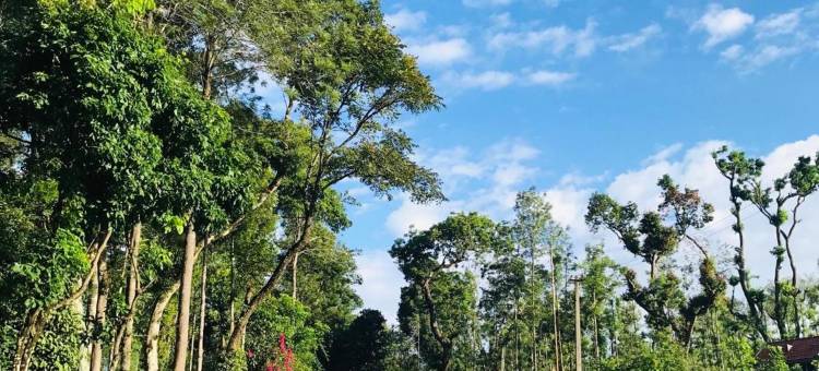 沙拉达公寓(Sharada Residency)图片