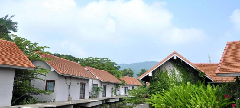 清迈皇家溪度假村(Chiangmai Royal Creek Hotel)图片