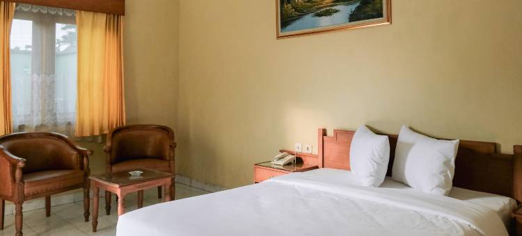 Hotel Gitrary Pati图片