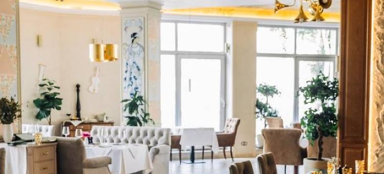 环形高级酒店(Ring Premier Hotel)图片