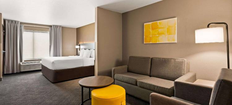 哈德森I-94舒适套房酒店(Comfort Suites Hudson I-94)图片