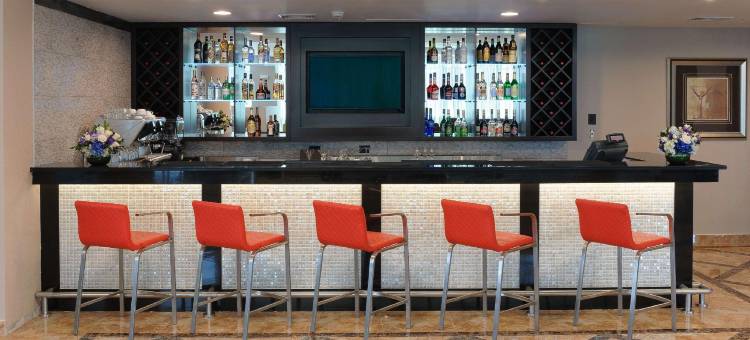 利马苏尔希尔顿花园酒店(Hilton Garden Inn Lima Surco)图片