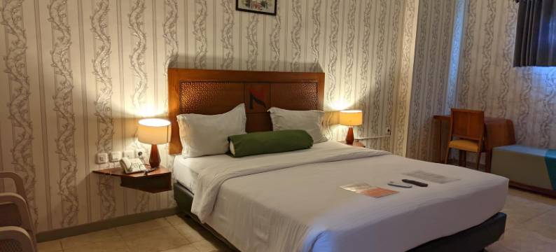 纳伦德拉广场酒店-苏邦(Hotel Nalendra Plaza Subang)图片