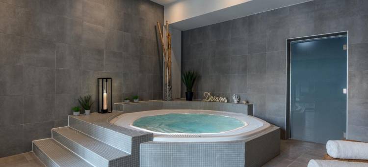 SOWELL COLLECTION 国王酒店和SPA(Hotel du Roi & Spa by Sowell Collection)图片