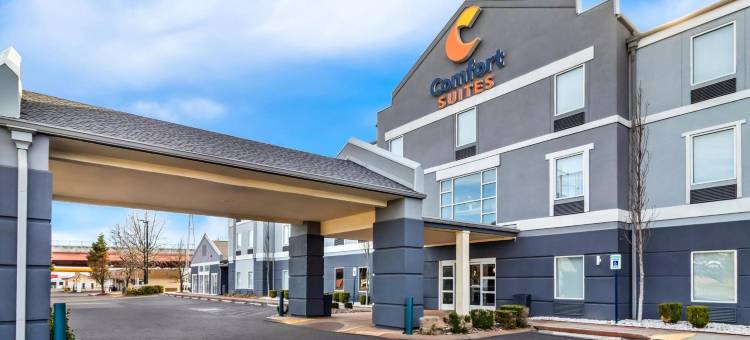 河闸商场舒适套房酒店(Comfort Suites at Rivergate Mall)图片