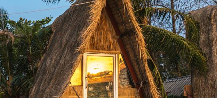 年轻狂野和自由旅馆(Young Wild and Free)图片